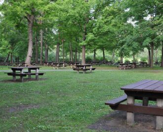 Trails and Picnic Grounds