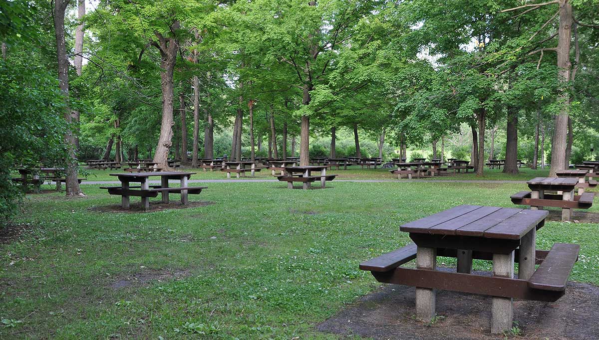 Trails and Picnic Grounds