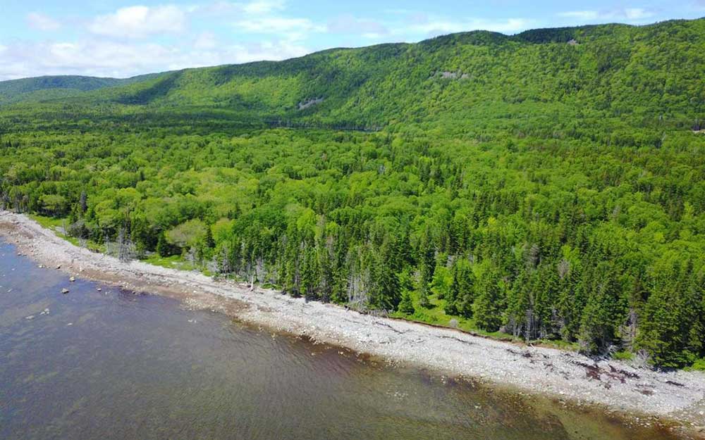 Wreck Cove and Indian Brook